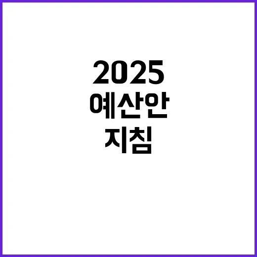 2025 예산안 삶과 미래를 위한 필수 지침!