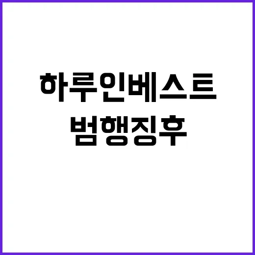 하루인베스트 범행 …