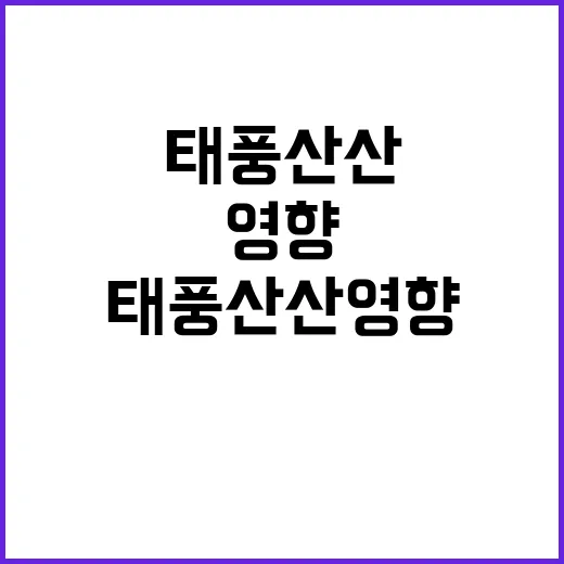 폭우 한라산 186㎜ 태풍 산산 영향 주의!