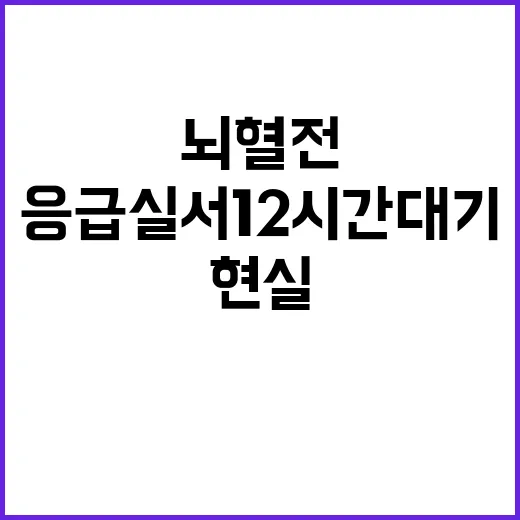 뇌혈전 환자 응급실서 12시간 대기 참혹한 현실