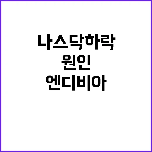 엔디비아 실적 나스닥 하락의 주요 원인?