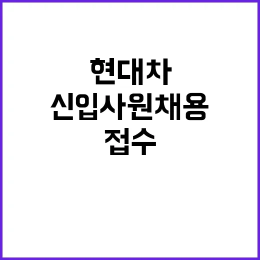 현대차 신입사원 채…