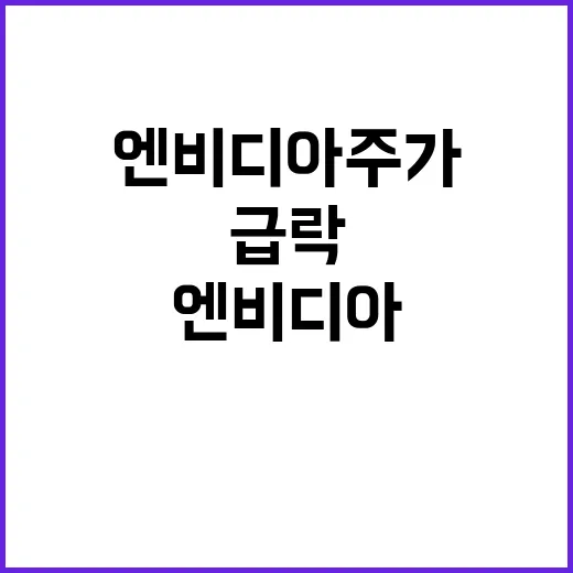 엔비디아 주가 급락…