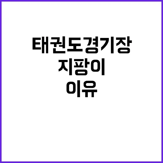 성룡 태권도 경기장…