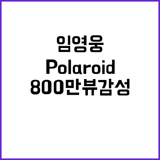 임영웅 Polaroid 800만뷰 감성의 전설!