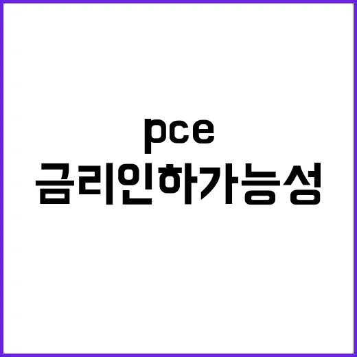 PCE 2.5% 상승…9월 금리 인하 가능성 증가!