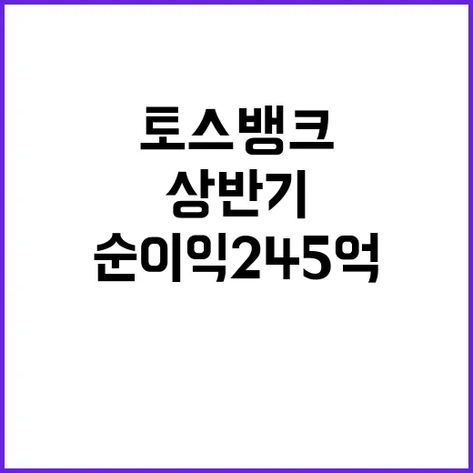 토스뱅크 상반기 순…