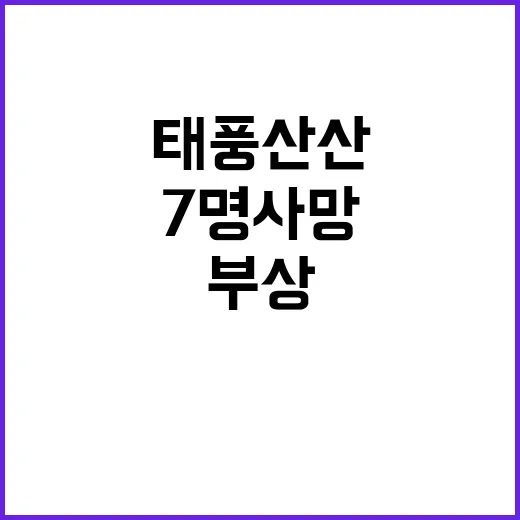 태풍 산산 피해 현황 7명 사망과 127명 부상!