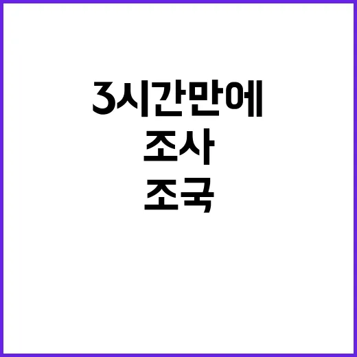 조국 진술 거부…조…