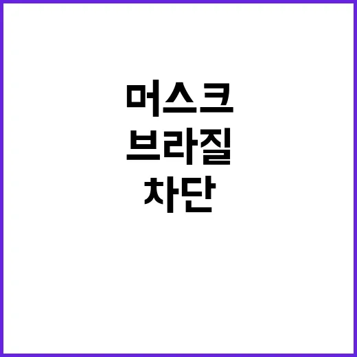 브라질 SNS 엑스 차단 이유는? 머스크 반발!