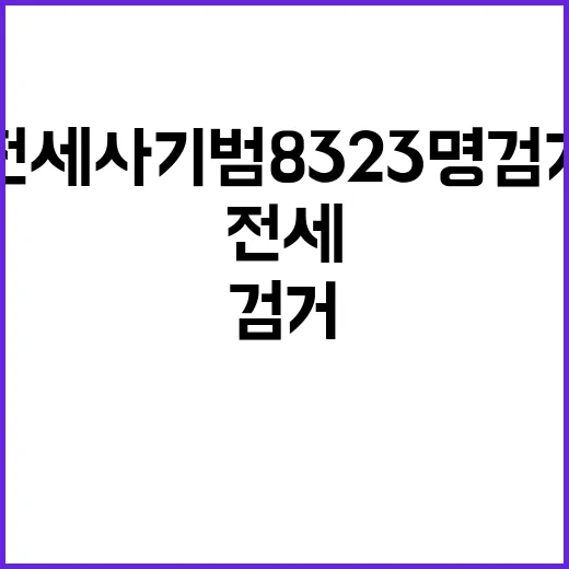 전세사기범 8323명 검거 건축주와 분양업자까지!