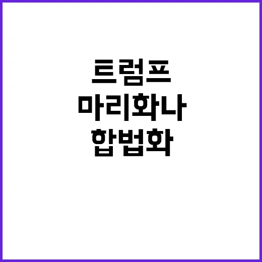 마리화나 트럼프의 …