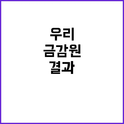 금감원 우리금융 검…