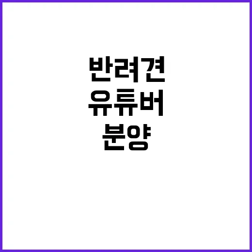 유튜버 반려견 죽음…