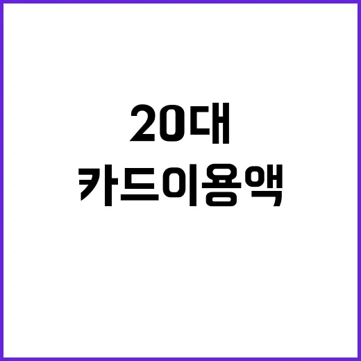 “카드 이용액 ‘뚝’ 20대의 허리띠 졸라매기”