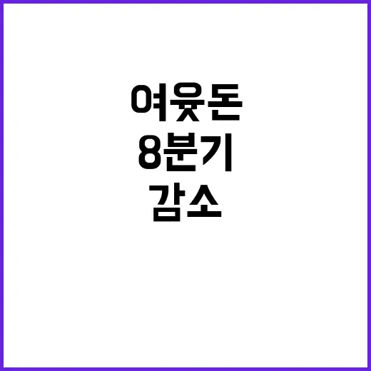 여윳돈 감소 8분기…