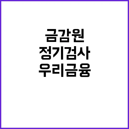 금감원 우리금융 정기검사 시작! 이유는?