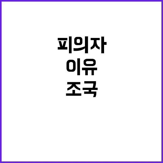 피의자 적시 조국의…