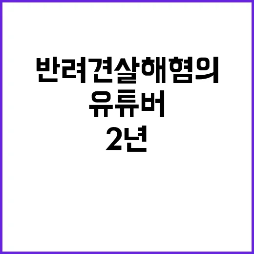 동거 2년 유튜버 …