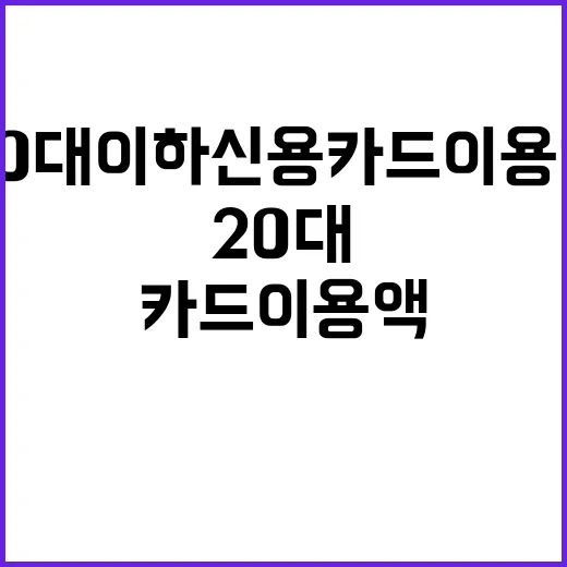 20대 이하 신용카드 이용액 급감 이유는?