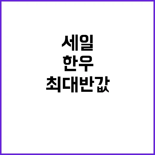 한우 세일 최대 반…