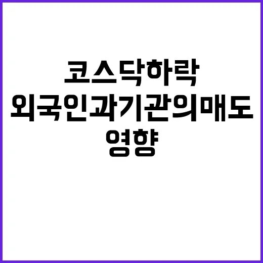 코스닥 하락 외국인…