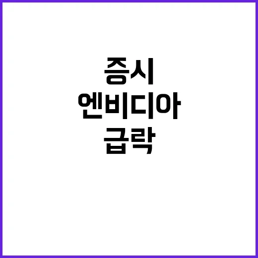 엔비디아 급락 미국 증시 충격 여파 드러나!