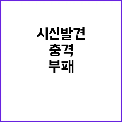 악취 원인 부패한 …