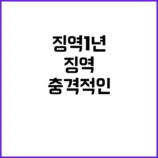 법 허점 이용의 충…