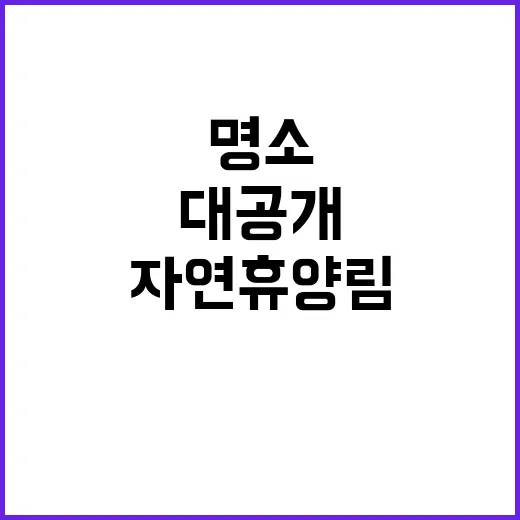 자연휴양림 힐링 명소 118곳 대공개!