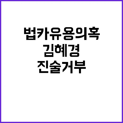 법카 유용 의혹 김혜경 조사에서 진술 거부!