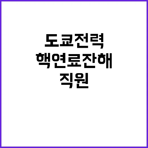 핵연료잔해 도쿄전력…