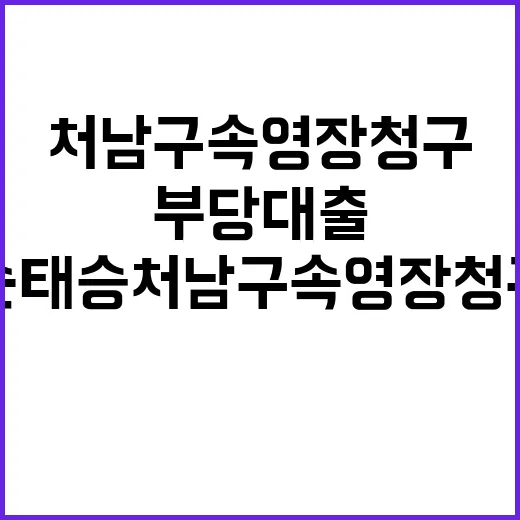 부당 대출 손태승 …