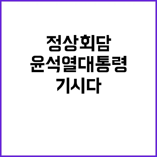 정상회담 윤석열 대…