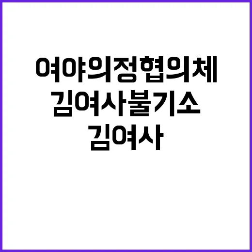 여야의정 협의체 김 여사 불기소 결정 궁금증!