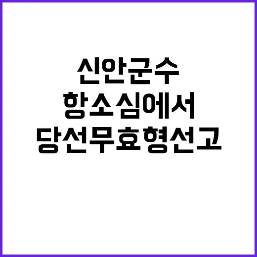 신안군수 항소심에서…