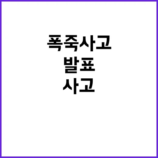 폭죽 사고 경찰의 …