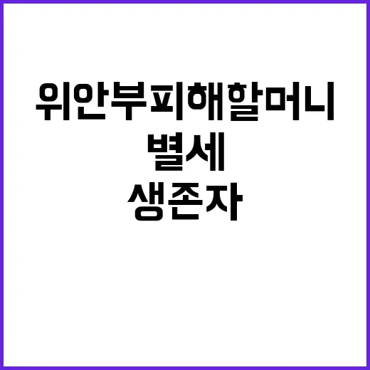 위안부 피해 할머니…