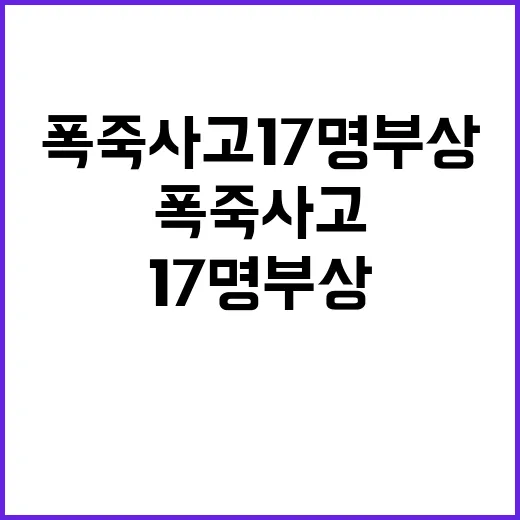 폭죽 사고 17명 부상…공연 현장 아수라장!