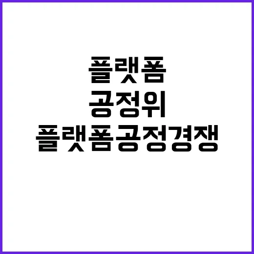 공정위 플랫폼 공정경쟁 법 제정 아직 미정