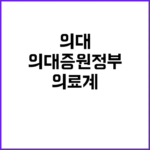 의대 증원 정부의 …