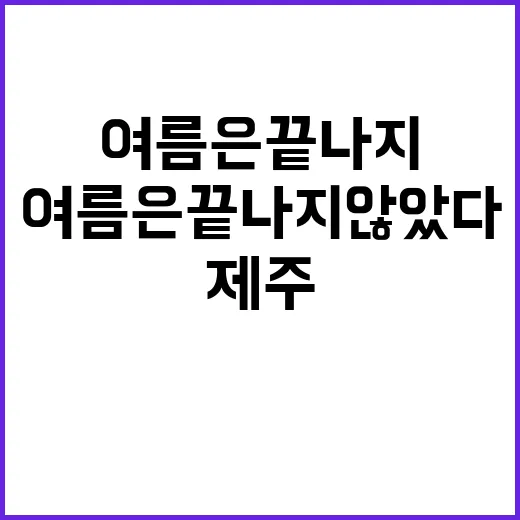 폭염 제주 등지 여…