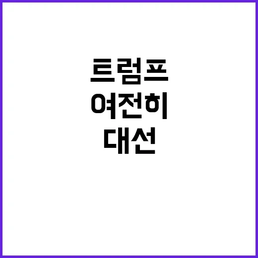 트럼프 대선 8주 앞두고 여전히 건재하다!