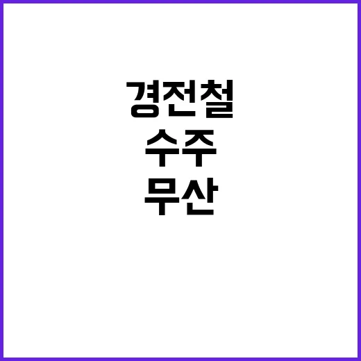 팀코리아 경전철 사…