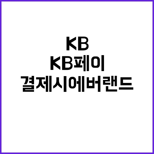 KB페이 결제 시 …