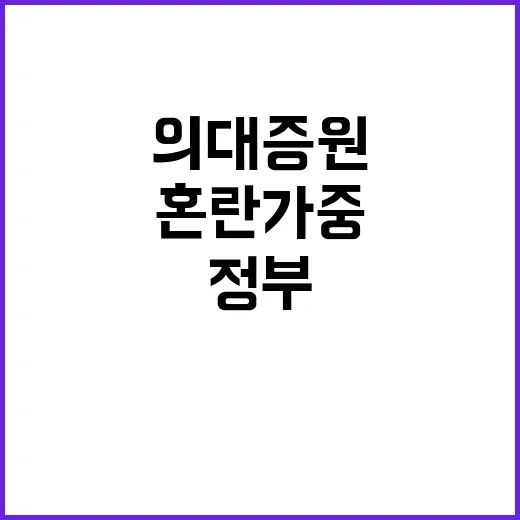 의대 증원 정부 발…