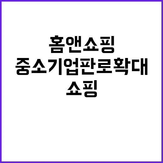 홈앤쇼핑 셀럽과 중…