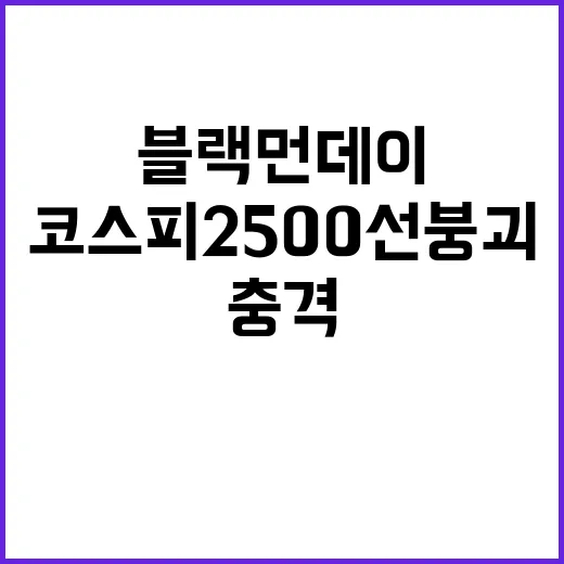 블랙먼데이! 코스피 2500선 붕괴의 충격 사실