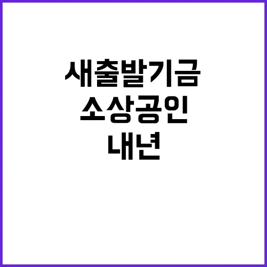 소상공인 새출발기금 내년 5000억 원 지원!