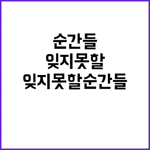 주말 사진 잊지 못할 순간들 공개!